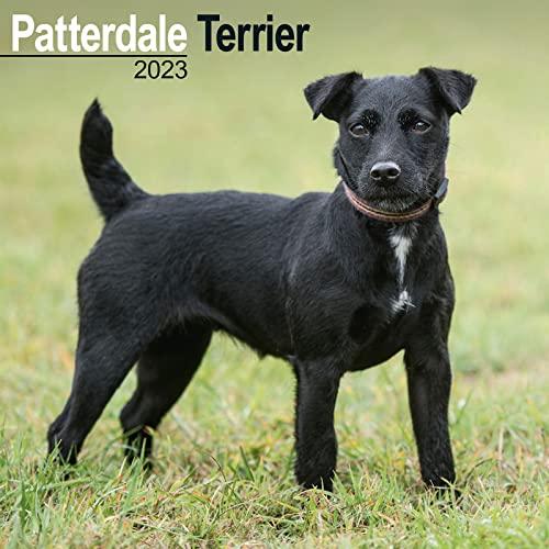 Patterdale Terrier 2023 - 16-Monatskalender: Original Avonside-Kalender [Mehrsprachig] [Kalender]