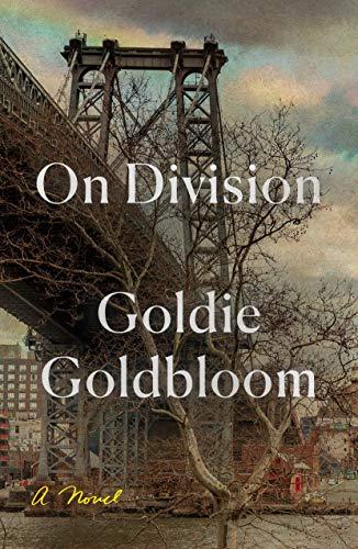 Goldbloom, G: On Division: A Novel