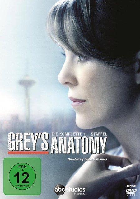 Grey's Anatomy - Die komplette elfteStaffel [6 DVDs]