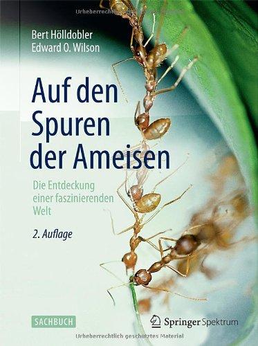 Auf den Spuren der Ameisen: Die Entdeckung einer faszinierenden Welt