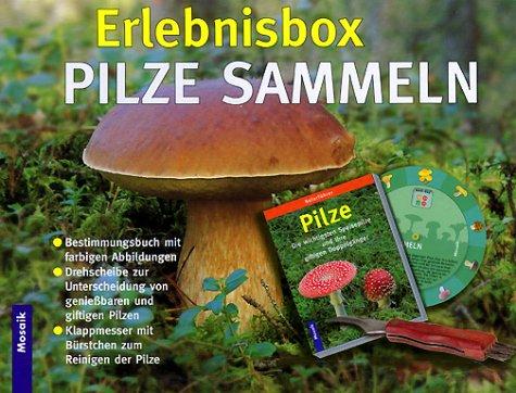 Erlebnisbox Pilze sammeln, Set