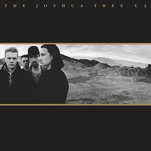 The Joshua Tree (2lp) [Vinyl LP]