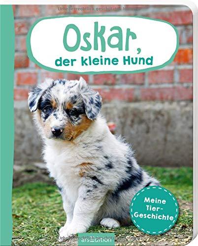 Oskar, der kleine Hund: Meine Tiergeschichte (Erste Fotogeschichte)