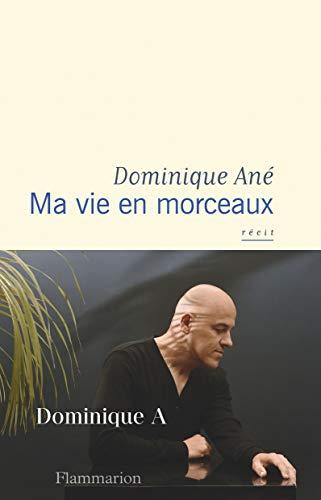 Ma vie en morceaux : récit