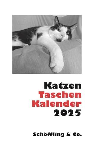 Katzen Taschenkalender 2025