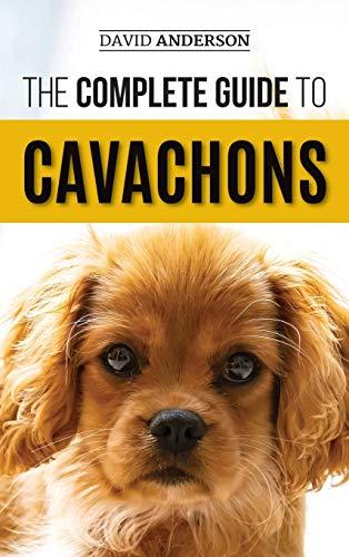 The Complete Guide to Cavachons: Choosing, Training, Teaching, Feeding, and Loving Your Cavachon Dog