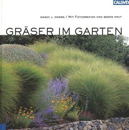 Gräser im Garten.