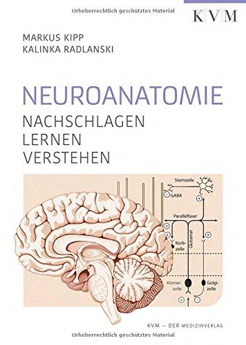 Neuroanatomie: Nachschlagen, Lernen, Verstehen