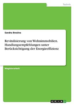 Revitalisierung von Wohnimmobilien. Handlungsempfehlungen unter Berücksichtigung der Energieeffizienz: Magisterarbeit