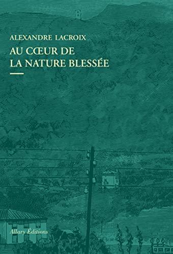 Au coeur de la nature blessée : apprendre à voir les paysages du XXIe siècle : essai