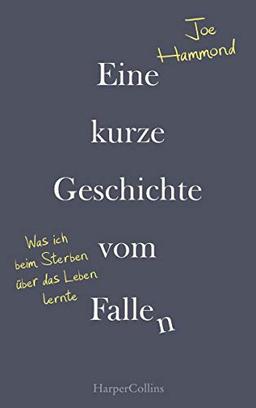 Eine kurze Geschichte vom Fallen - Was ich beim Sterben über das Leben lernte