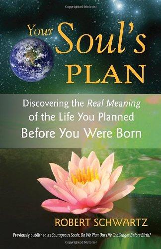 Your Soul's Plan: Discovering the Real Meaning of the Life You Planned Before You Were Born