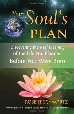 Your Soul's Plan: Discovering the Real Meaning of the Life You Planned Before You Were Born