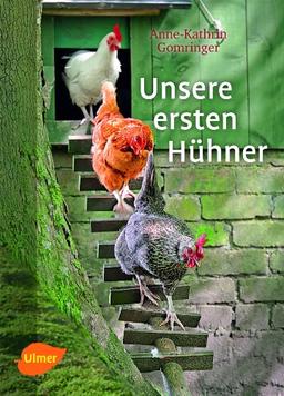 Unsere ersten Hühner