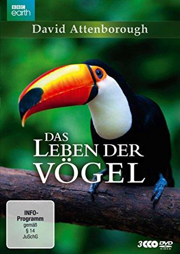 David Attenborough: Das Leben der Vögel - Die komplette Serie [3 DVDs]