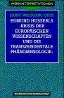 Edmund Husserls ' Krisis der europäischen Wissenschaften und die transzendentale Phänomenologie'. Vernunft und Kultur (Werkinterpretationen)