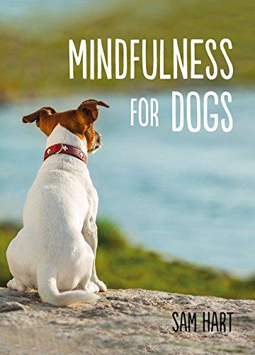 Mindfulness for Dogs