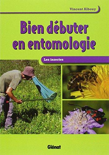 Bien débuter en entomologie : les insectes