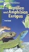 Reptilien und Amphibien Europas