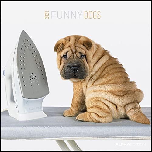 Funny Dogs 2023 - Broschürenkalender 30x30 cm