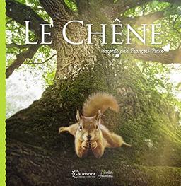 Le chêne