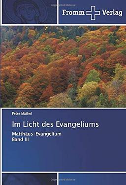 Im Licht des Evangeliums: Matthäus-Evangelium Band III