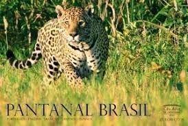 Pantanal Colorfotos (Em Portuguese do Brasil)