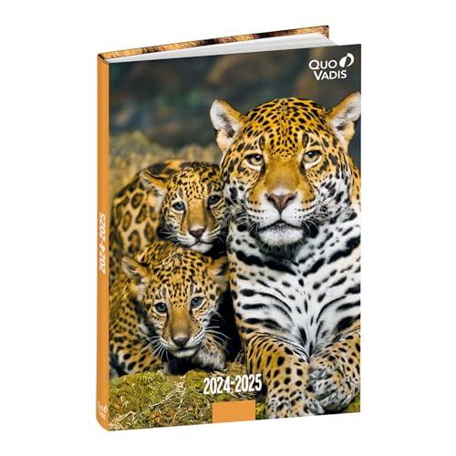 Schülerkalender FORUM DE Tiere Jaguar 2024/2025: Schülerkalender