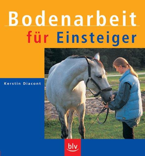 Bodenarbeit für Einsteiger