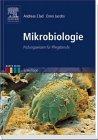 Mikrobiologie