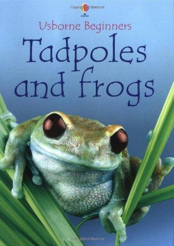 Tadpoles and Frogs (Beginners)