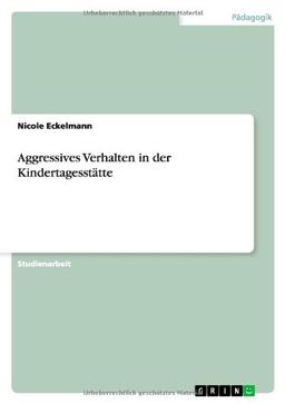 Aggressives Verhalten in der Kindertagesstätte