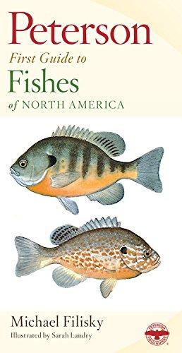 Peterson First Guide to Fishes of North America