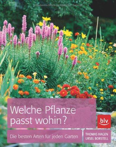 Welche Pflanze passt wohin?: Die besten Arten für den Garten