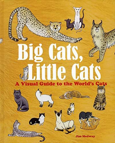 Big Cats, Little Cats: A Visual Guide to the World's Cats (Big & Little)