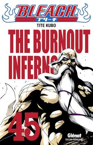 Bleach. Vol. 45. The burnout inferno