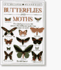 Butterflies & Moths (DK Handbooks)