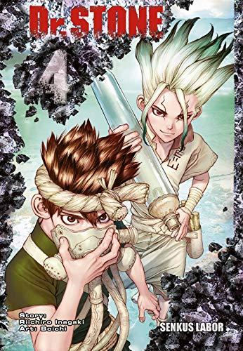 Dr. Stone 4 (4)