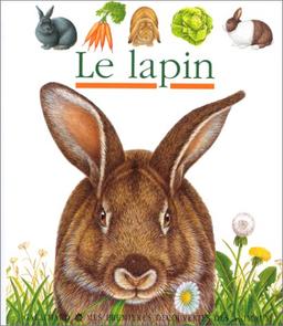 Le lapin