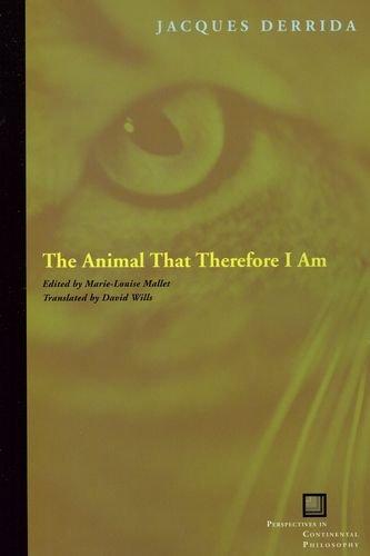 The Animal That Therefore I Am (Perspectives in Continental Philosophy)