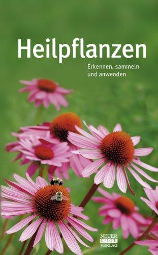 Heilpflanzen: Erkennen, sammeln und anwenden