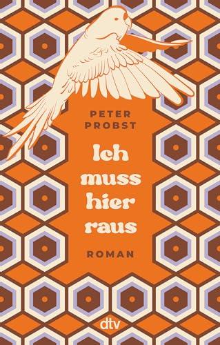 Ich muss hier raus: Roman | Band 2 der 70er-Jahre-Trilogie (Peter Gillitzer, Band 2)