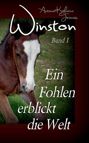 Winston - Ein Fohlen erblickt die Welt: Pferdebuchserie in drei Bänden