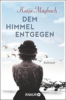 Dem Himmel entgegen: Roman