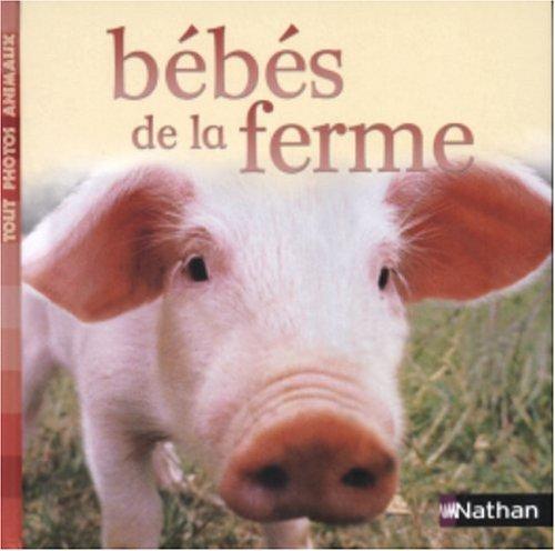 Bébés de la ferme