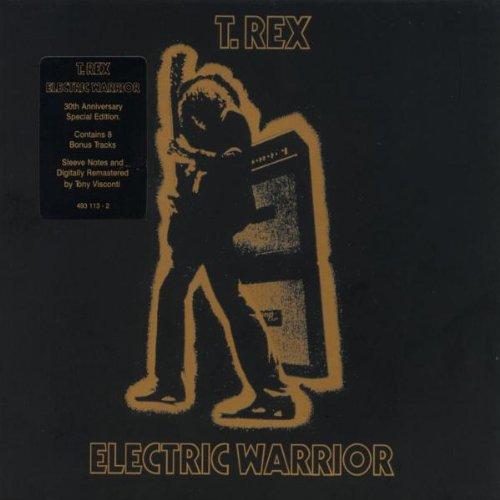 Electric Warrior