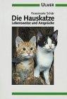 Rosemarie Schär: Die Hauskatze - Lebensweise und Ansprüche