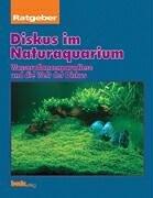 Diskus im Naturaquarium, Ratgeber