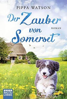 Der Zauber von Somerset: Roman