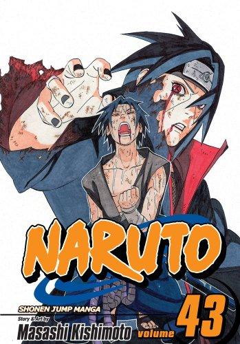 Naruto, Vol. 43: v. 43